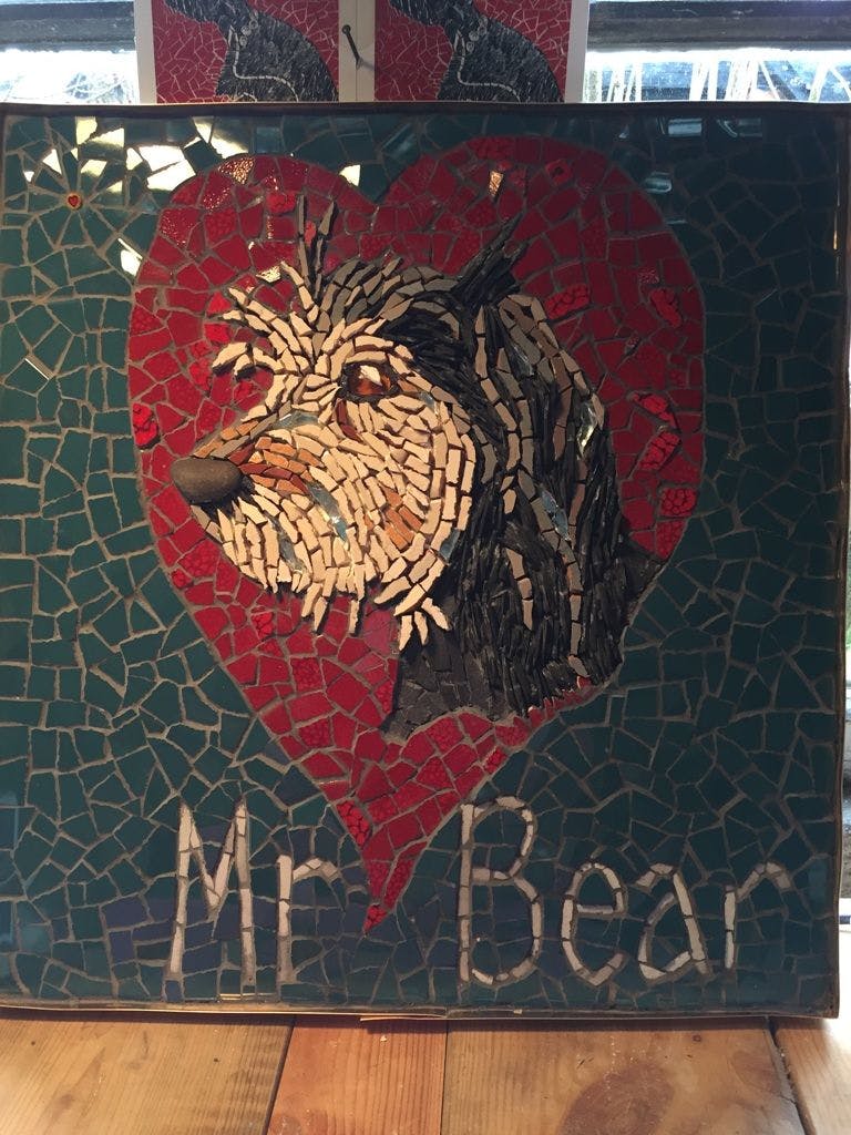 Cover Image for Mr Bear